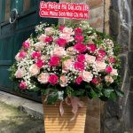 Vui tươi