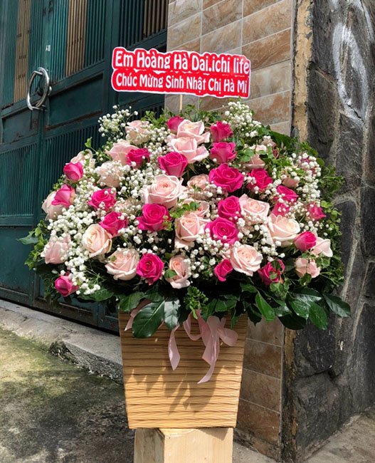 Vui tươi